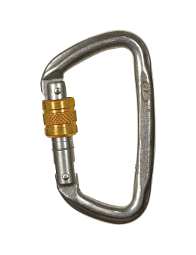 Karabinek D-Shape Stainless Steel SG