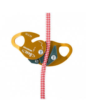 Przyrząd autoasekuracyjny Monitor